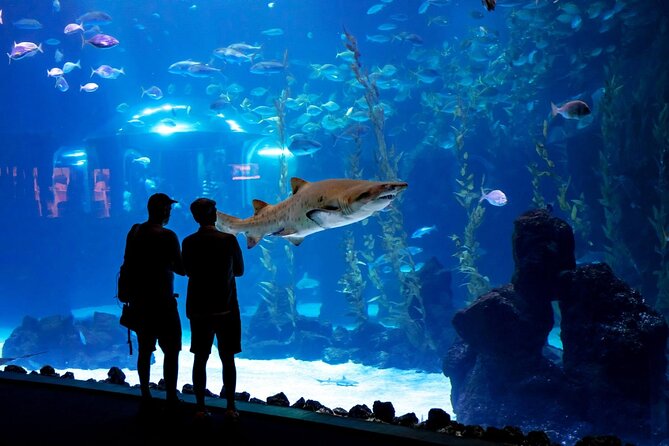 Sea and Mountain Full Day Tour With Lunch - Departure and Return Details