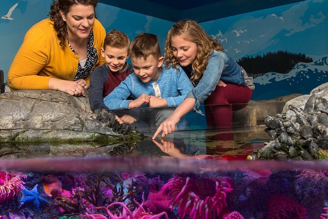 SEA LIFE Aquarium Grapevine Admission Ticket - Parking and Transportation Options