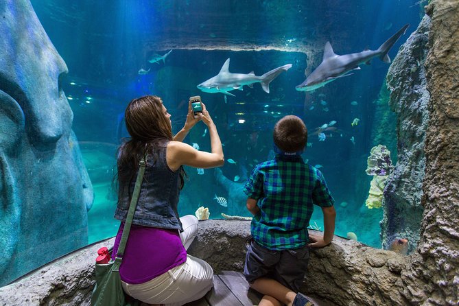 SEA LIFE Kansas City Aquarium Admission Ticket - Planning Your Visit