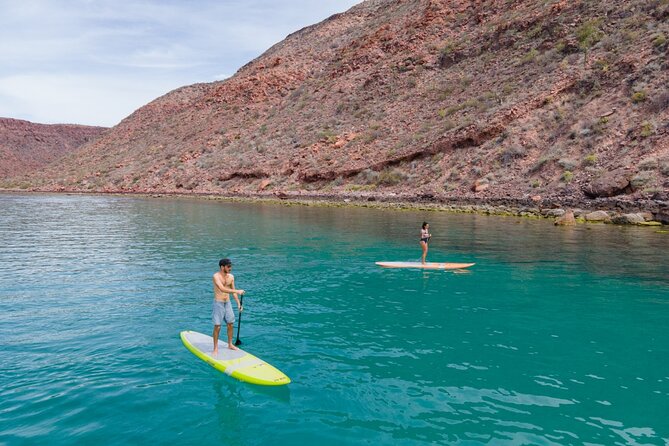Sea of Cortez Day Adventure Activity With Snorkel and Paddleboard in La Paz - Review Highlights