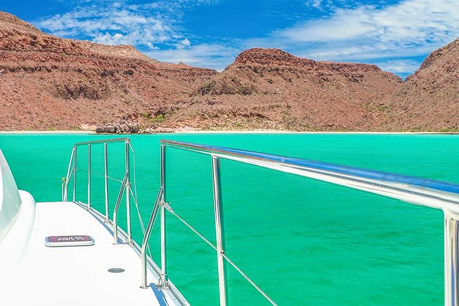 Sea of Cortez Snorkeling & Sea Lion Catamaran Adventure in La Paz - Snorkeling With Sea Lions