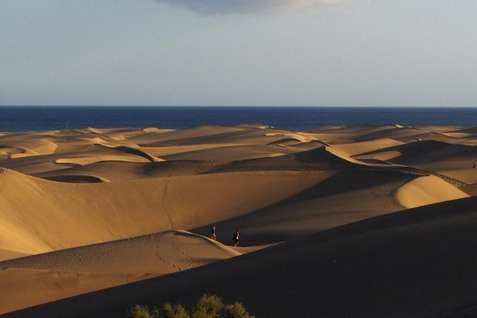 Segway Experience 1 Hour Sightseeing Tour : Visit Maspalomas Dunes, Playa Ingles - What to Expect