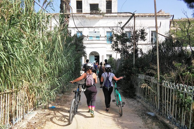 Self Guided Bike Tour of Carthage Archeological Site - Traveler Experiences