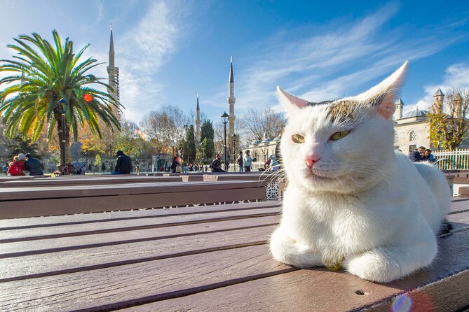 Self Guided City Audio Tour of Istanbul - Audio Guide App