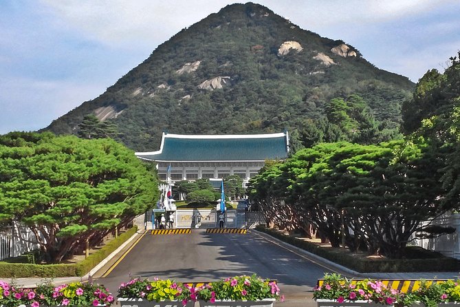 Seoul: Full-Day Royal Palace and Shopping Tour - Health and Safety Guidelines