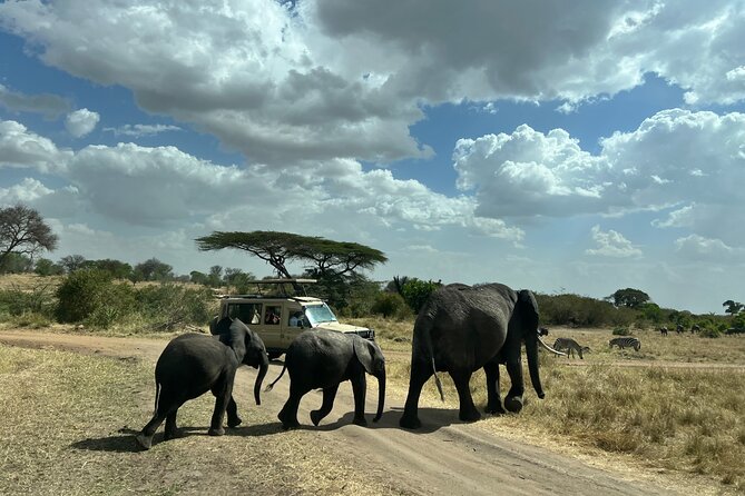 Serengeti 2-Day Safari From Mwanza - Important Information