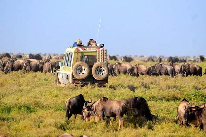 Serengeti National Park 7 Days Safaris Camping - Transportation Details