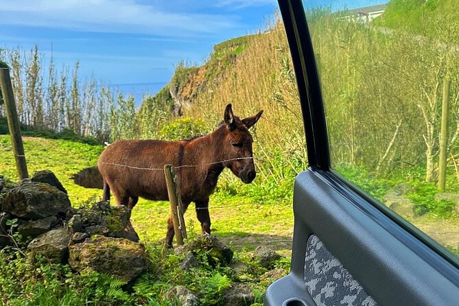 Sete Cidades - Nature Lovers - Private Jeep Tour With Local Guide - Booking Features