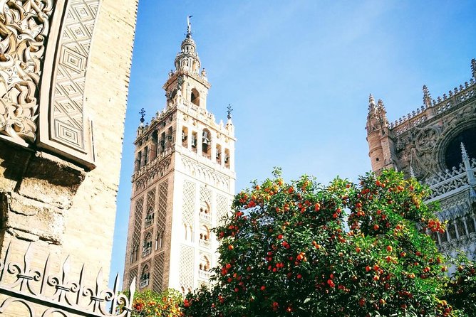 Seville Private Transfer to Lisbon With Optional Evora Stop - Product Code and Support Resources