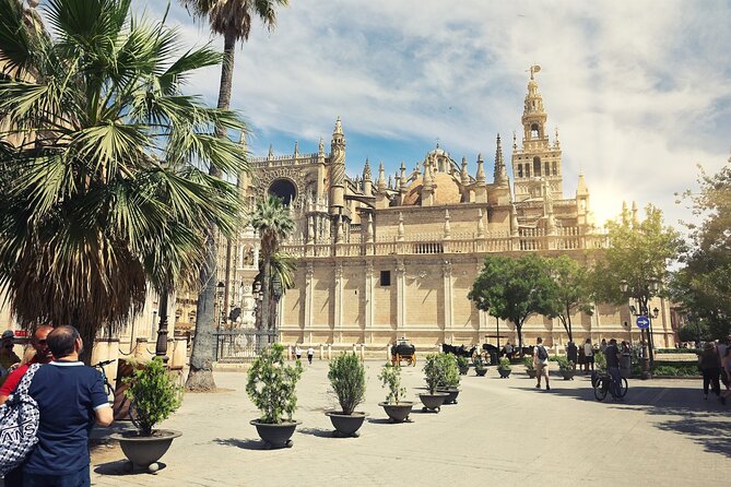 Seville's Splendors: A Timeless Journey on Foot - Panoramic Views From Metropol Parasol