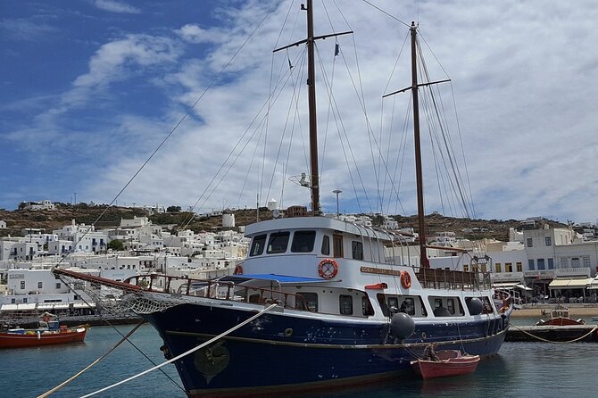 Shared Cruise From Mykonos to Ancient Delos & Rhenia Island - Cancellation Policy
