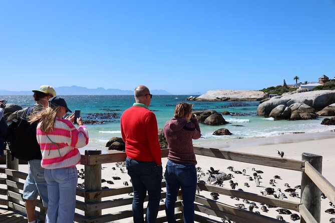 Shared Half Day Tour in Cape Peninsula With African Penguins - Accessibility and Participation