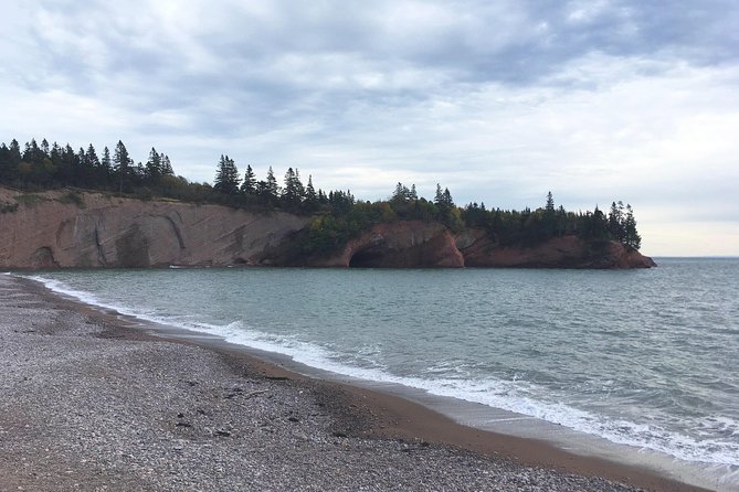 Shore Tours - Customer Review Highlights