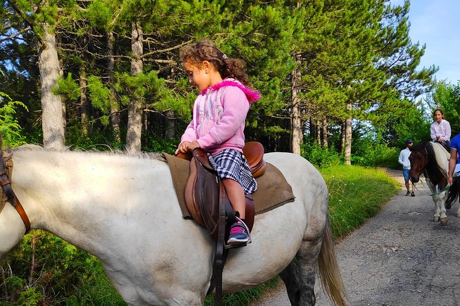 Short Horseback Riding - Kolasin - Scenic Mountain Ride