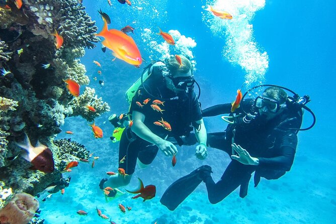 Side:Scuba Diving Experience Underwater Museum Side - Booking Details and Pricing