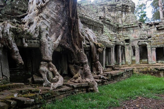 Siem Reap'S Signature Temples Discovered - Customer Experiences and Reviews