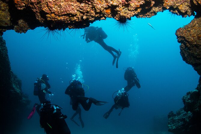 Single Scuba Try-Dive in Puerto Del Carmen - Small Groups - 2 Hours - Customer Feedback Highlights