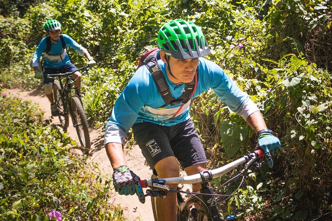 SINGLETRACK MOUNTAIN BIKE - Guided Through the Jungle - Terrain and Scenery