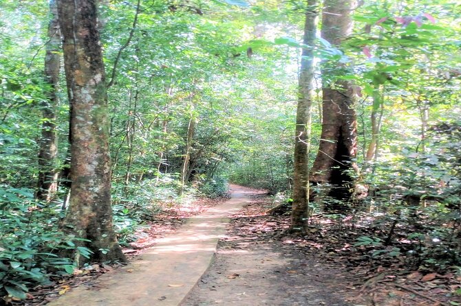 Sinharaja Rainforest Private Tour - Booking Process and Options