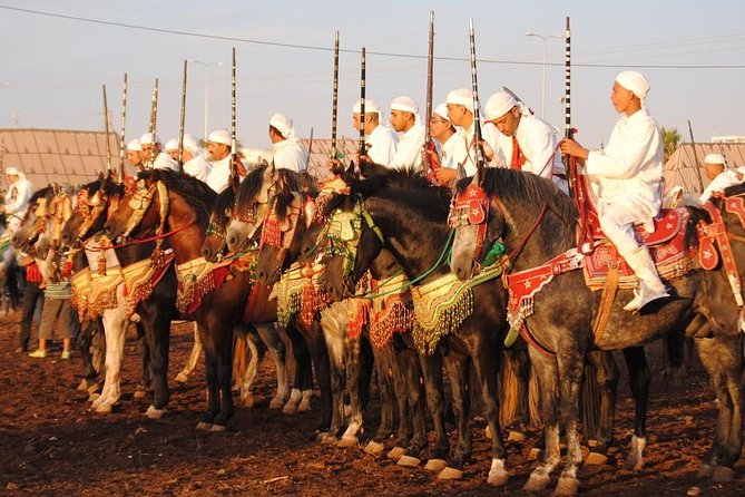 Skip The Line At Chez Ali Marrakech Fantasia Show - Booking Your Experience