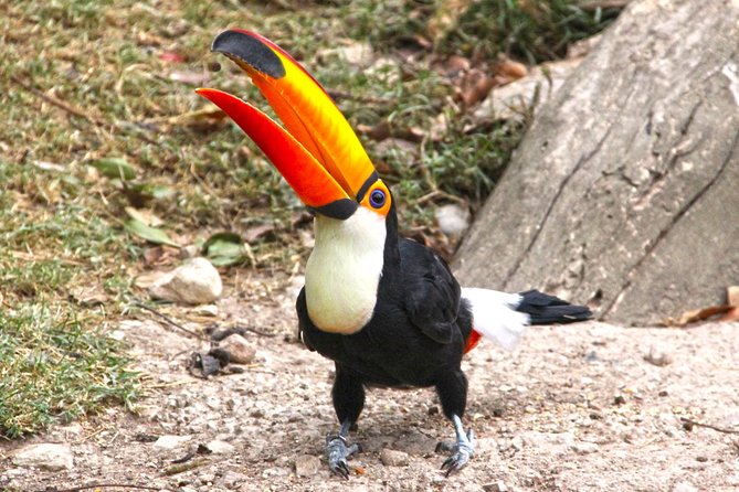 Skip the Line: Terra Natura Benidorm Entrance Ticket - Exploring the Park