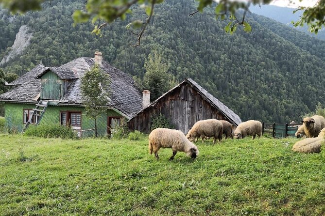Slanic Salt Mines & Village Charms: Bucharest Day Escape - Visiting the Salt Mines