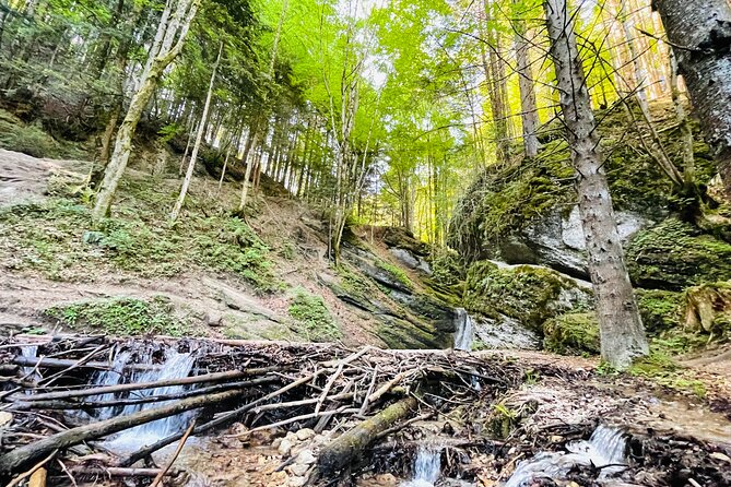 Small-Group Castle, Canyon and Sparkling Wine Day Trip From Brasov - Recommended Attire
