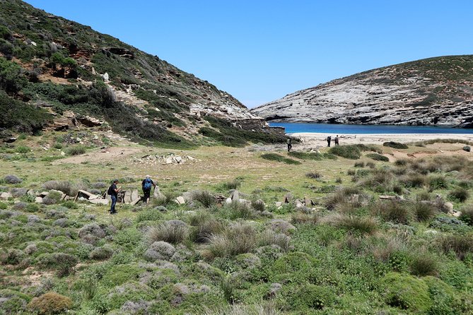 Small-Group Guided Hiking Tour in Andros With Picnic on the Beach - Picnic Brunch on Lefka Beach