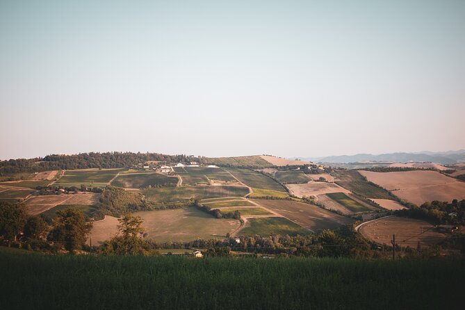Small-Group Half-Day Wine Tour With Tasting in Dozza Village - Intimate Group Size