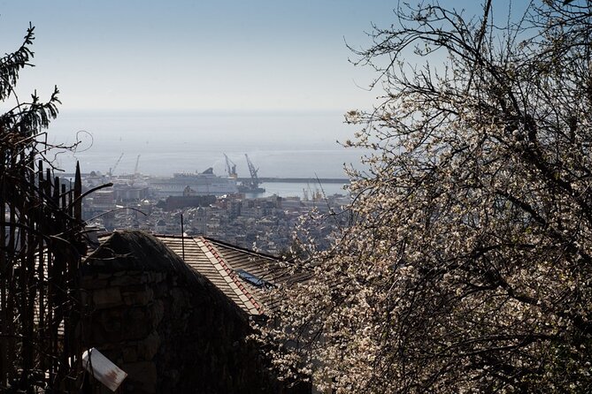 Small-Group Panoramic Photo Tour of Genoa Review - Highlights of the Tour