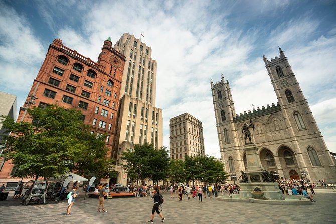 Small-Group Sightseeing Tour of Montreal - Customer Reviews and Ratings
