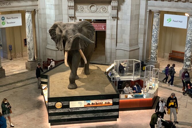 Smithsonian National Museum of Natural History With Guided Tour - Navigating the Museum Highlights