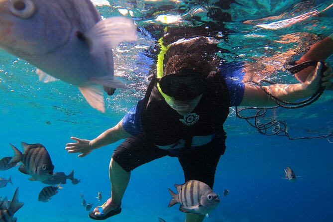Snorkel Along the Coast, Explore Two Reefs by Chivis Del Mar - Customer Feedback and Highlights