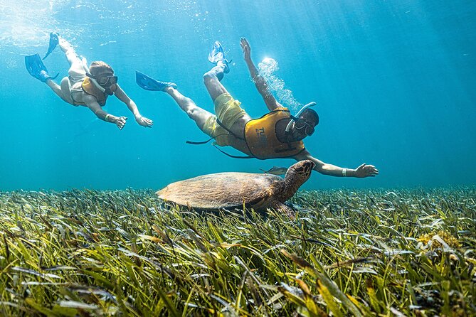 Snorkel in Cancun: With Turtles, Shipwreck, Cenote, and Reef - Customer Experiences and Feedback
