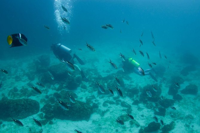 Snorkel in Marietas Island - Hidden Beach Exploration