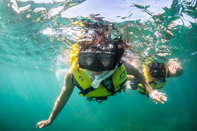 Snorkel, Lunch & Sail in Cabo San Lucas - Hotel Pickup and Drop-off