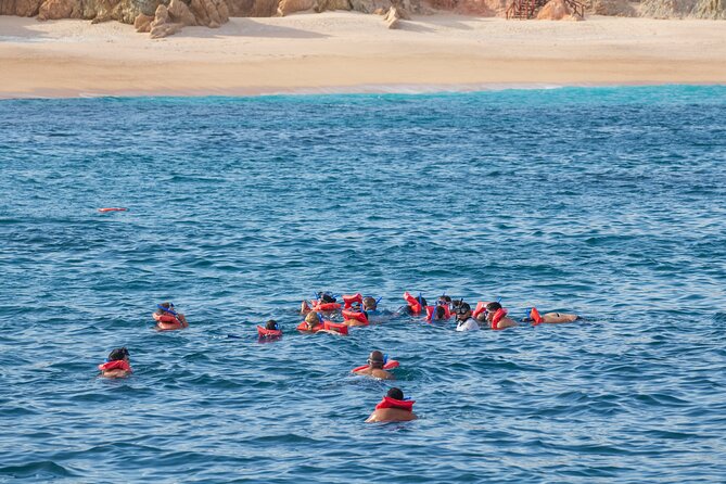 Snorkel & Sunset Sail in Cabo San Lucas - Pricing and Booking