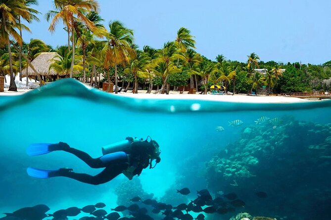 Snorkeling Adventure and Explore Catalina Island From Punta Cana - Frequently Asked Questions