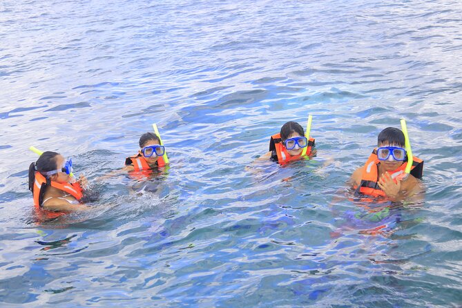 Snorkeling Adventure in Puerto Morelos Includes Snack, Water and Round Trip. - Positive Customer Experiences
