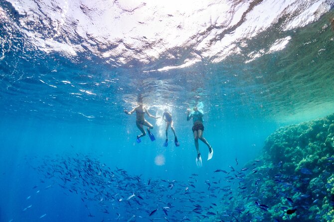 Snorkeling Experience in Genoa for Small Groups - Since You Asked