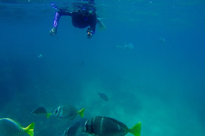 Snorkeling on a Hidden Beach (Hike) - Preparing for the Hike