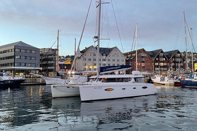 Snorkeling With Orcas in Norway, 4 Days All-Inclusive Expedition - Expedition Highlights