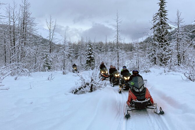 Snowmobile and Snowshoe Dual Adventure in Kenai Fjords NP - Participant Requirements