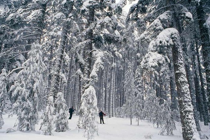 Snowshoe Hike to the Three Peaks of Lavaredo - Frequently Asked Questions