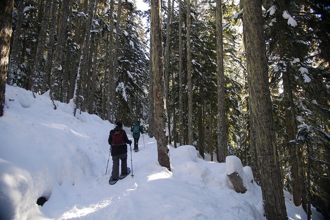 Snowshoe Tours - Booking and Cancellation