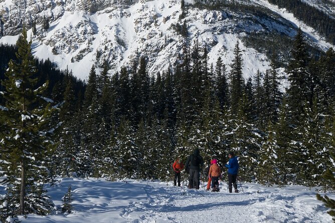 Snowshoeing in Kananaskis - Top Reviews