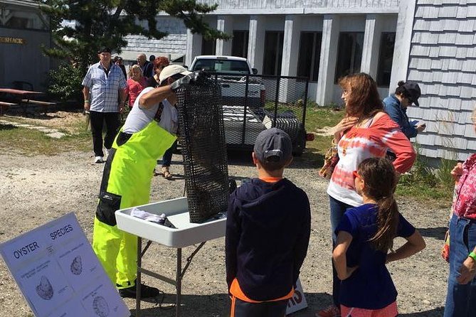 Southold Bay Oyster Farm Tour - Shellfisher Preserve Experience