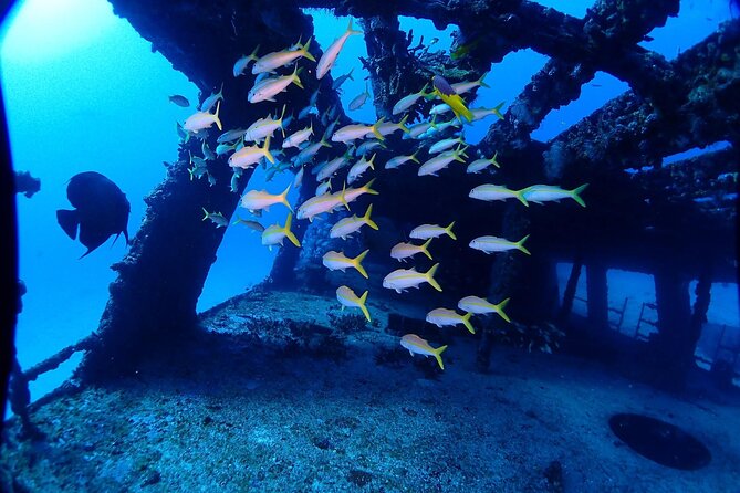 Special!! 2 Tank Wreck & Drift Reef Dives - Health and Accessibility Information