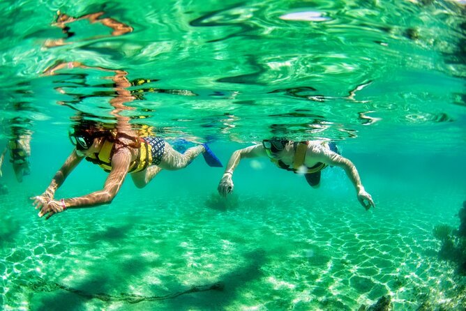 Speedboat Across the Mangroves & Snorkel With Jet Ski Rental - Snorkeling at Cancun Underwater Museum