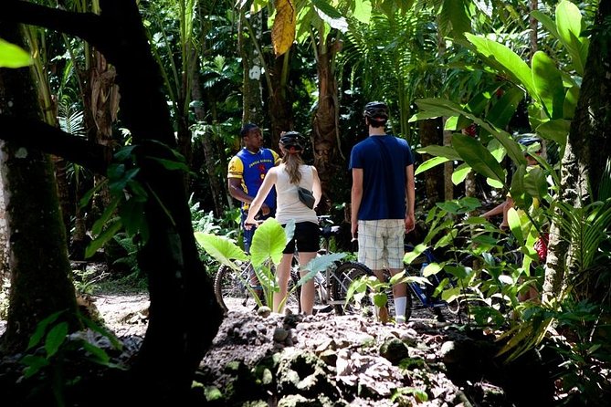 St Lucia Bike and Hike - Accessibility